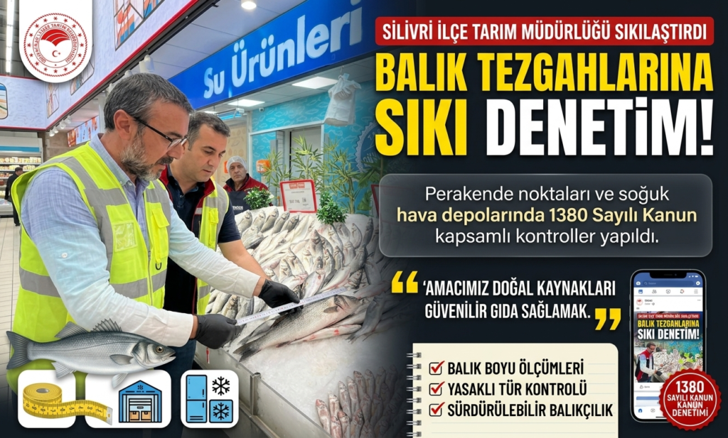 Silivri’de Sıkı Balık Denetimi: Perakende ve Depolar Taranıyor